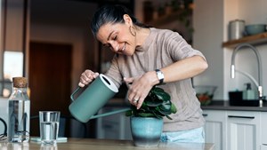 Mature woman watering houseplant