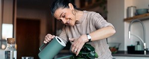 Mature woman watering houseplant