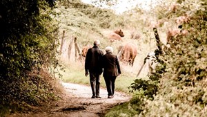 A couple go on a countryside walk together after they stop driving