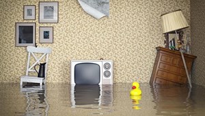 Flooded living room with rubber duck