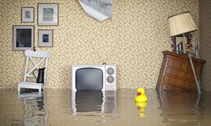 Flooded living room with rubber duck