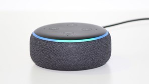 alexa style device 16.9