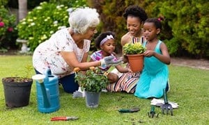 A grandmother with her daughter and two young granddaughters gardening together